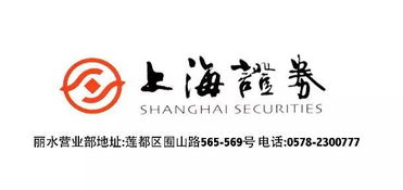 上海證券麗水營(yíng)業(yè)部開(kāi)業(yè)盛典，投資控股引領(lǐng)財(cái)富未來(lái)